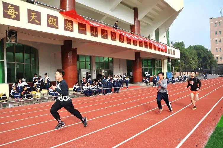 室内健身器材分为哪几种