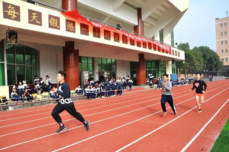 网球拍有哪种材质的好呢