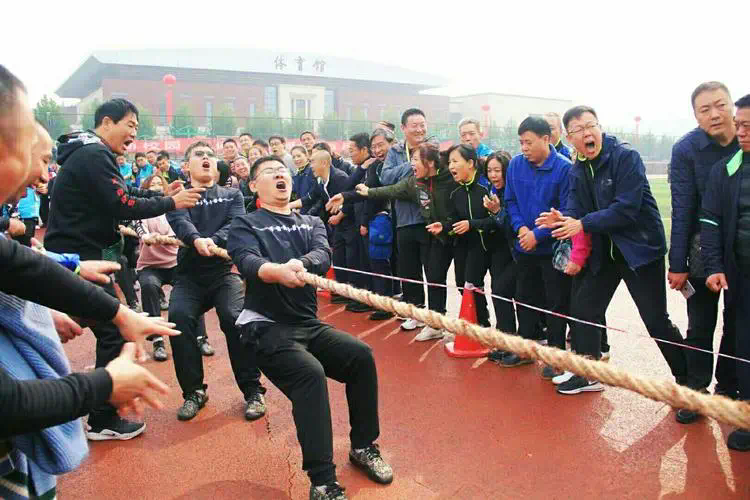 网球拍有编号嘛怎么看